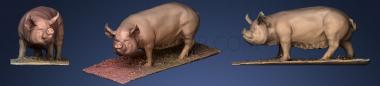 3D model Some Pig_2 (STL)